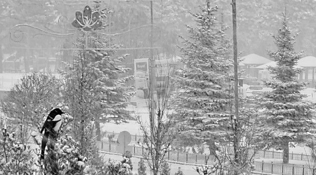 Erzurum'a çarşamba kar yeniden geliyor