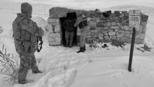 Erzurum'da 51 düzensiz göçmen yakalandı