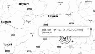 Hınıs'ta deprem...