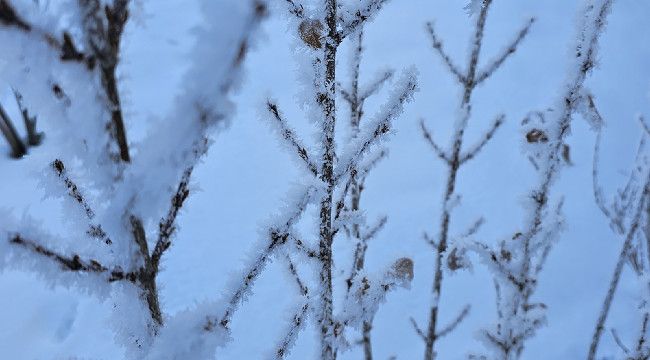 Zemheri soğukları buz kesti