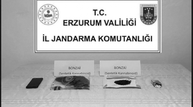 Erzurum Jandarma'dan uyuşturucu operasyonu