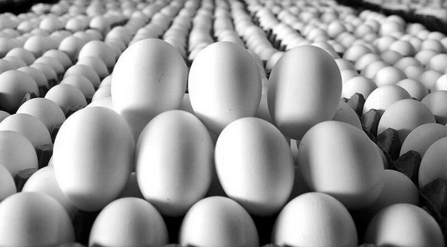 Yumurtanın sert yükselişine bakanlıktan önlem 