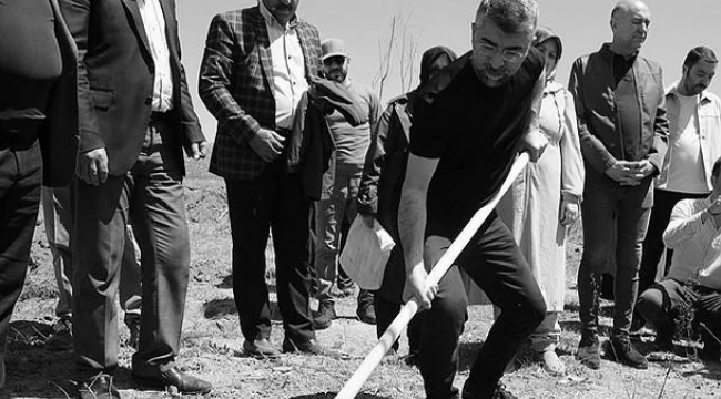 AK Parti 20 ilçede fidan dikti