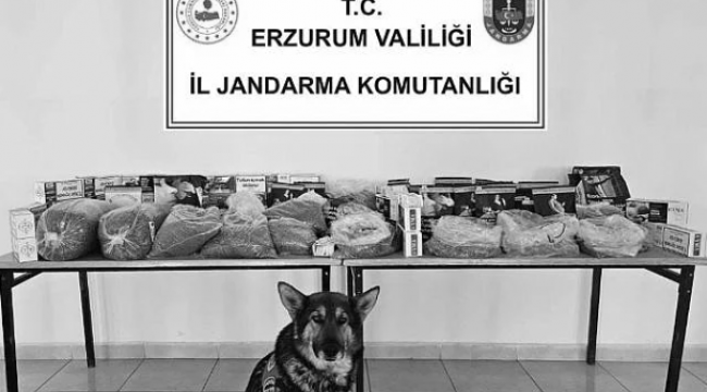 Horasan'da kaçak tütün operasyonu