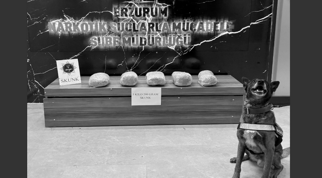 Erzurum'da uyuşturucu operasyonu