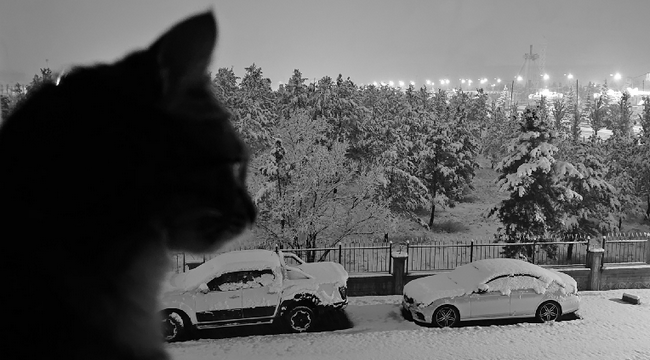 Erzurum güne kar yağışı ile uyandı