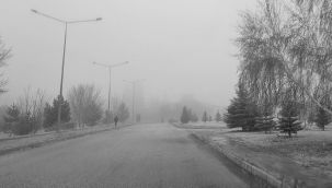 Erzurum'da sisli günler