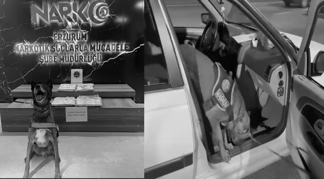 Magnum yine enseledi...