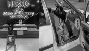 Magnum yine enseledi...