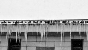 Erzurum Eksi 25'i Gördü