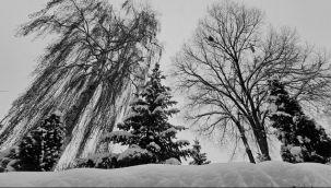 Doğu yine buz kesti