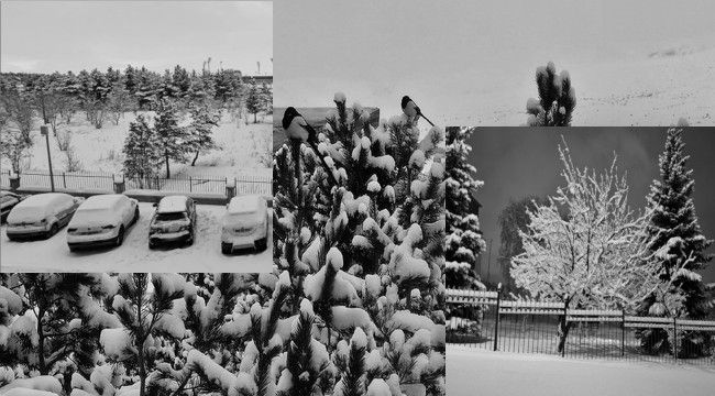 Erzurum'da kar yağışı etkili oldu