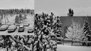 Erzurum'da kar yağışı etkili oldu