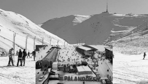 Palaldöken'de 206, Konaklı'da 120...