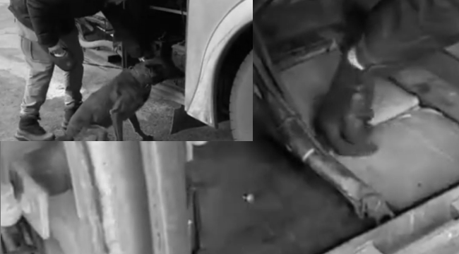 Erzurum'da uyuşturucu operasyonu...