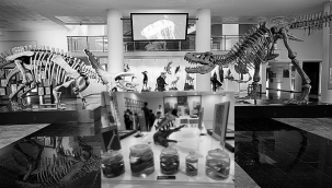 Atatürk Üniversitesi'nde tıbbi bitki ve kuş sergisi