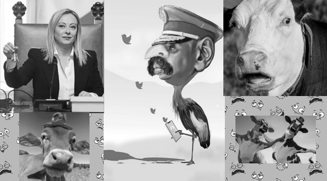 Uganda'nın kuş beyinlisi, şimdi de Türkiye'den 1 milyon dolar ve eş talep ediyor