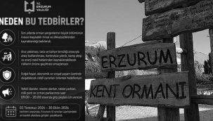 Erzurum'da Ormanlara Giriş Yasağı